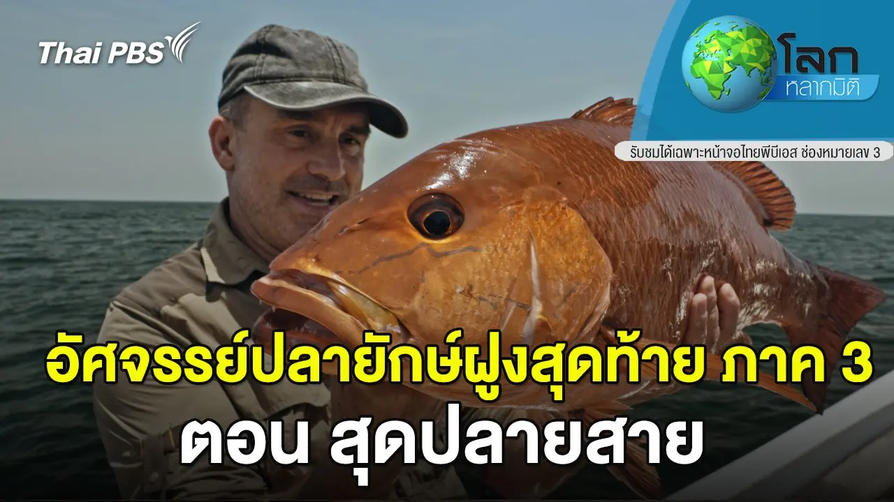 อัศจรรย์ปลายักษ์ฝูงสุดท้าย ตอน สุดปลายสาย