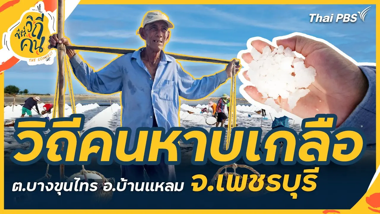 วิถีคนหาบเกลือ ต.บางขุนไทร อ.บ้านแหลม จ.เพชรบุรี