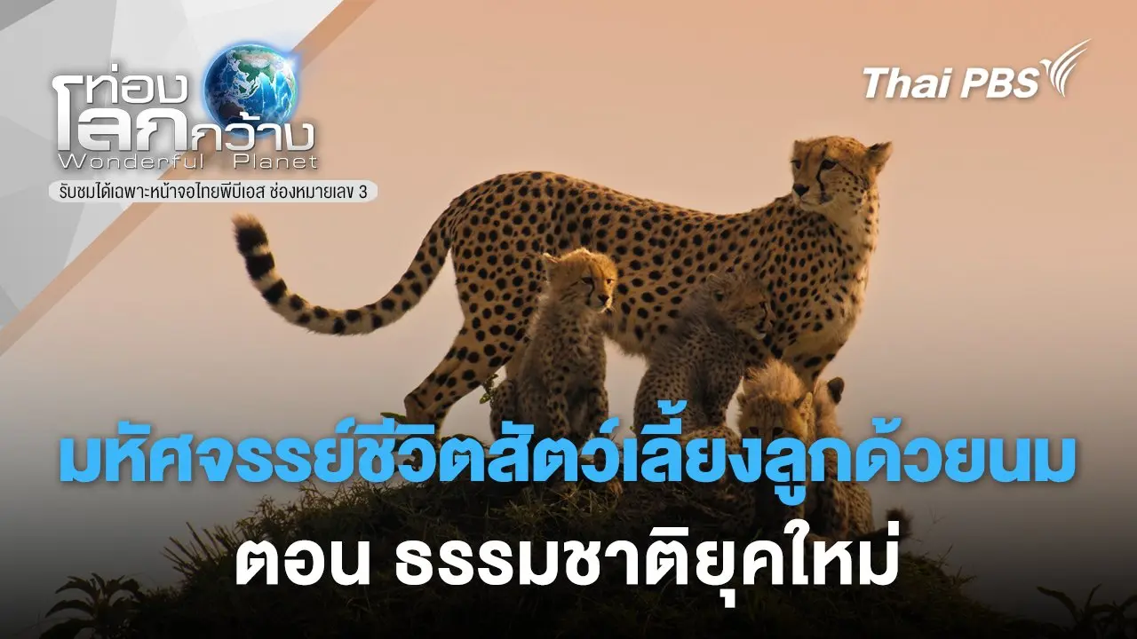 มหัศจรรย์ชีวิตสัตว์เลี้ยงลูกด้วยนม ตอน  ธรรมชาติยุคใหม่