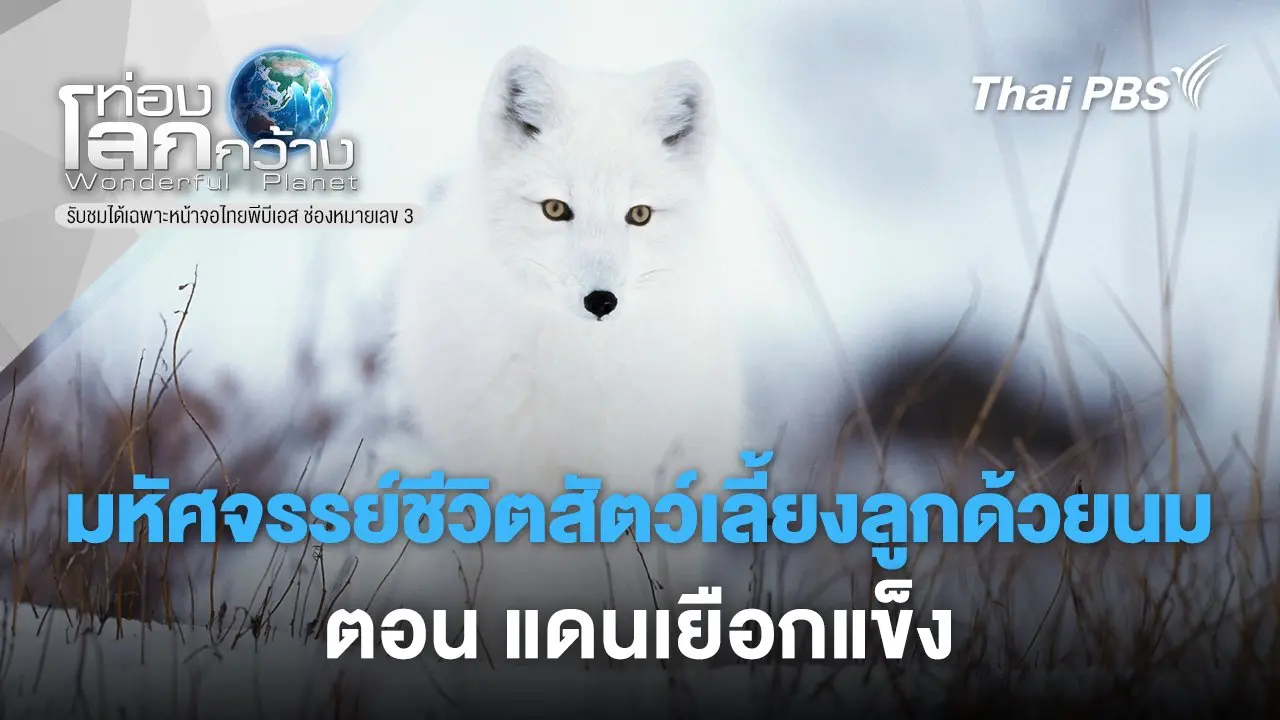 มหัศจรรย์ชีวิตสัตว์เลี้ยงลูกด้วยนม ตอน แดนเยือกแข็ง
