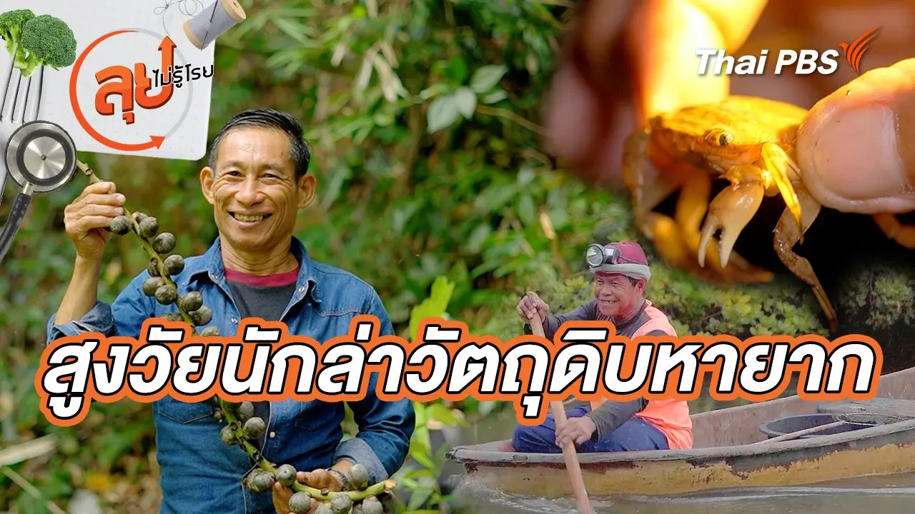 สูงวัยนักล่าวัตถุดิบหายาก