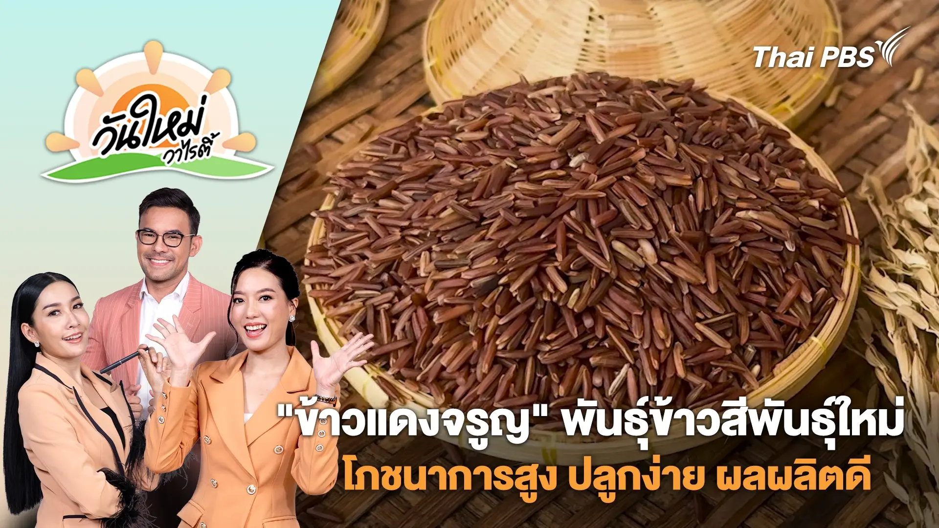 "ข้าวแดงจรูญ" พันธุ์ข้าวสีพันธุ์ใหม่ โภชนาการสูง ปลูกง่าย ผลผลิตดี | วันใหม่วาไรตี้ | 28 มี.ค. 68