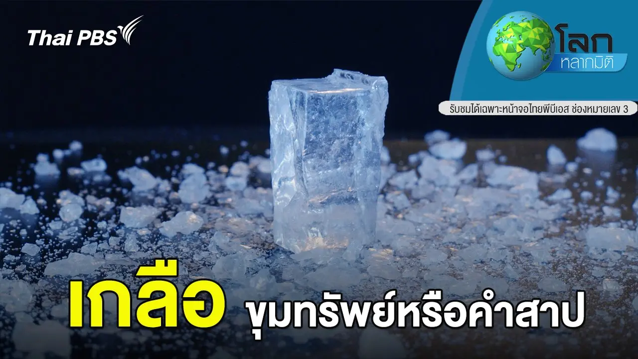 เกลือ ขุมทรัพย์หรือคำสาป