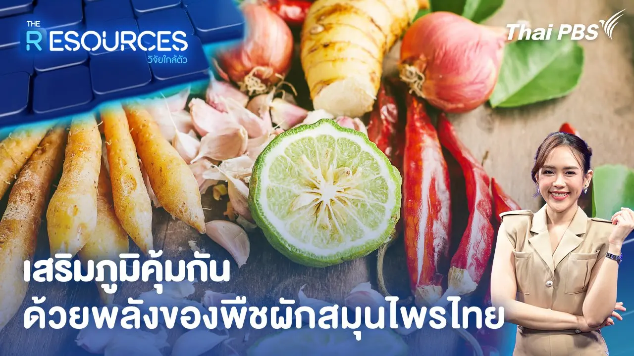 เสริมภูมิคุ้มกัน ด้วยพลังของพืชผักสมุนไพรไทย