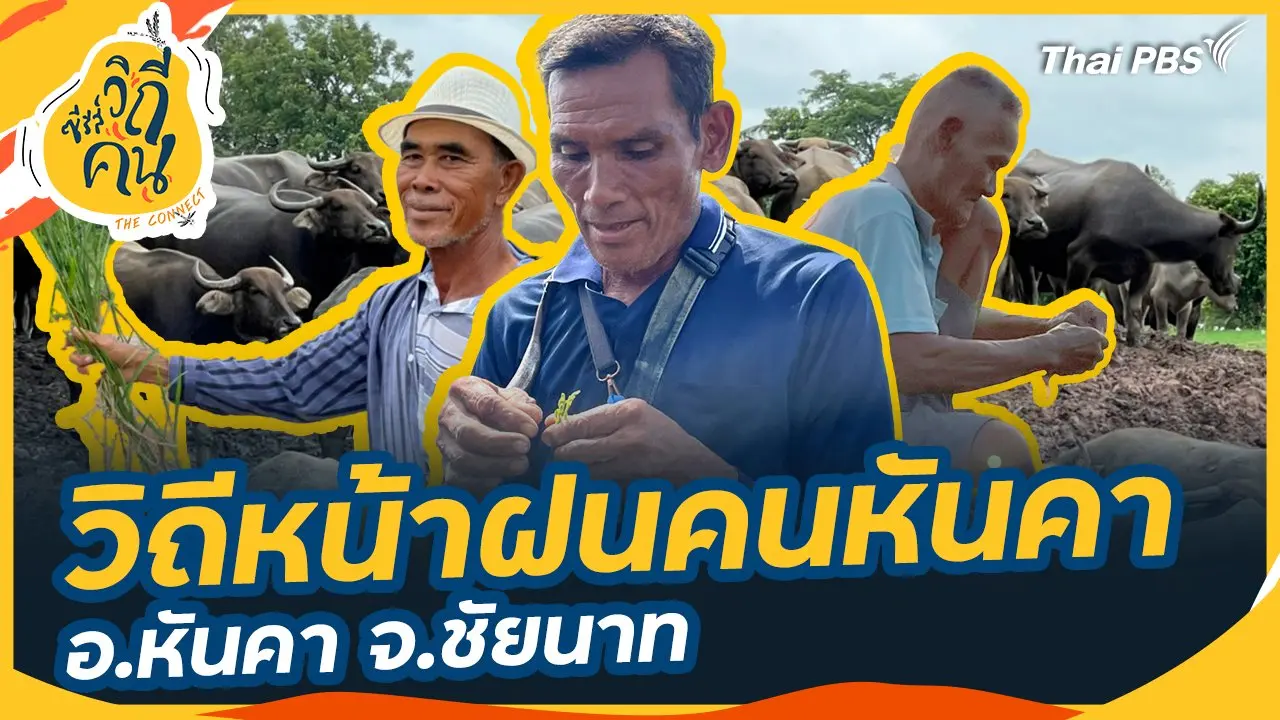 วิถีหน้าฝนคนหันคา อ.หันคา จ.ชัยนาท