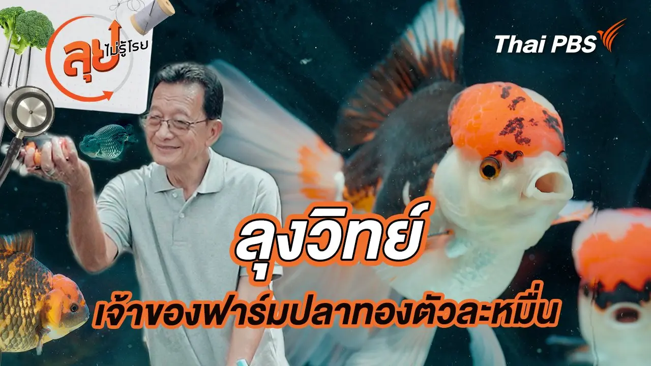 ลุงวิทย์เจ้าของฟาร์มปลาทองตัวละหมื่น