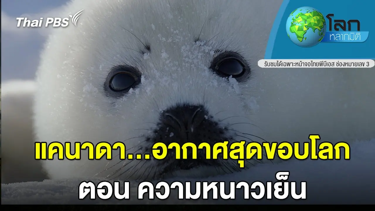 แคนาดา...อากาศสุดขอบโลก ตอน ความหนาวเย็น