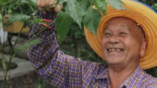 ค้นพบ...หลังเกษียณ