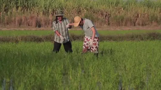 Live And Learn อยู่เพื่อเรียนรู้