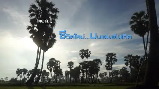 ชีวิตใหม่...บนแผ่นดินเกิด