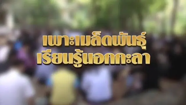 เพาะเมล็ดพันธุ์ เรียนรู้นอกกะลา