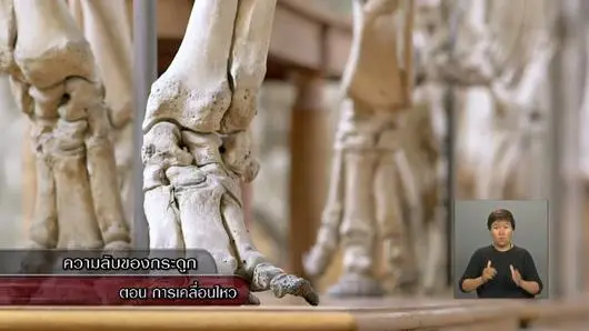 การวางแผนการนำเสนอสารคดีท่องโลกกว้าง