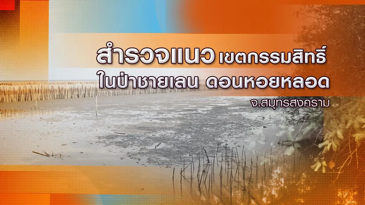 สำรวจแนวเขตกรรมสิทธิ์ในป่าชายเลน ดอนหอยหลอด จ.สมุทรสงคราม