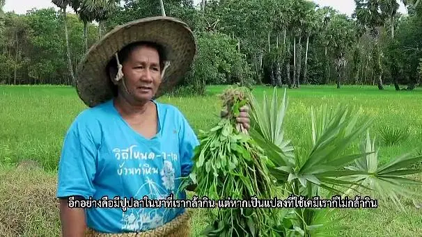 พืชผักชายไฟ