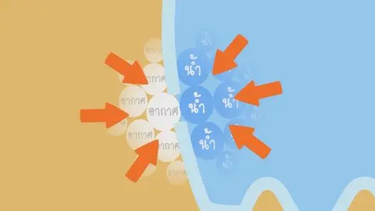 คิดวิทย์