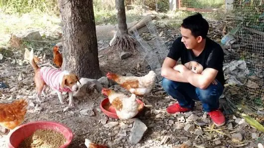ไข่ไก่อินทรีย์