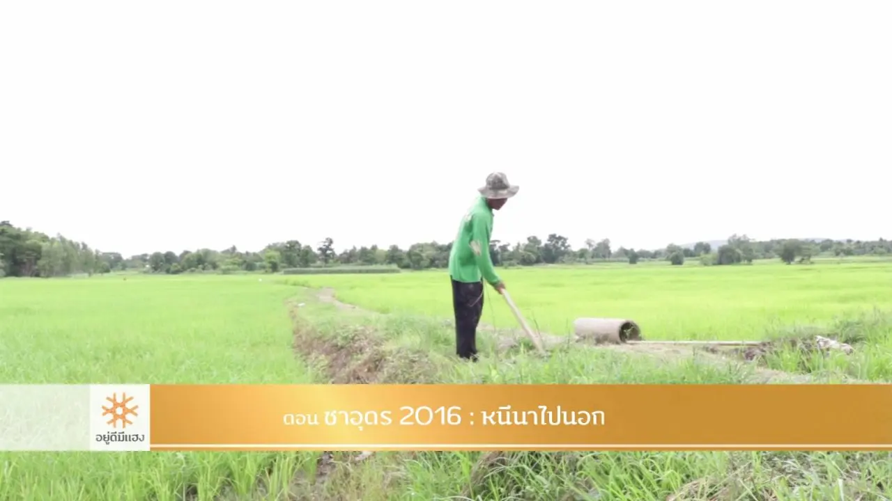 ซาอุดร 2016 : หนีนาไปนอก