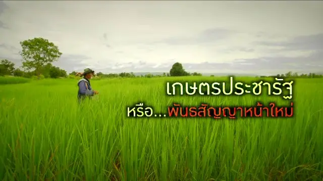เกษตรประชารัฐ หรือ...พันธสัญญาหน้าใหม่