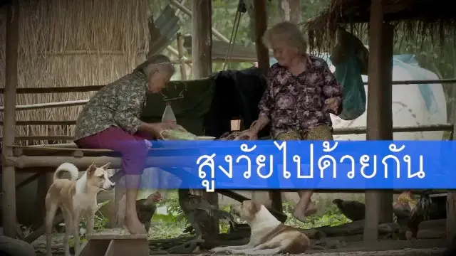 สูงวัยไปด้วยกัน