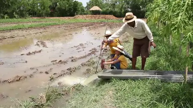 ​สังคม