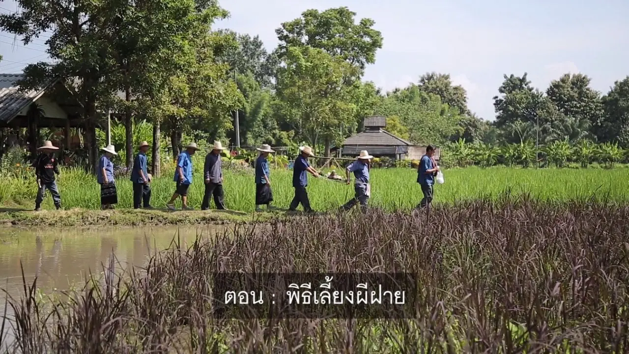 ​พิธีเลี้ยงผีฝาย
