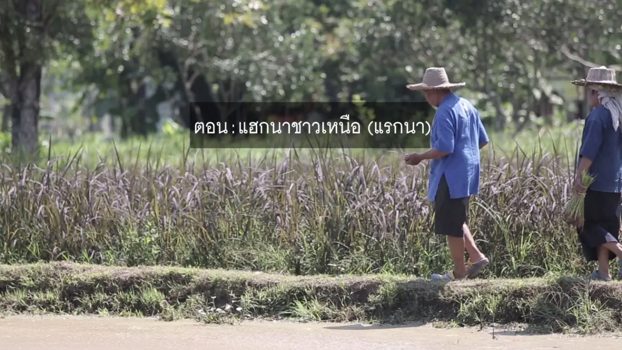 ​แฮกนาชาวเหนือ (แรกนา)
