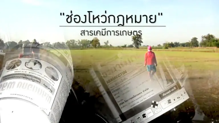 ช่องโหว่กฎหมาย สารเคมีการเกษตร