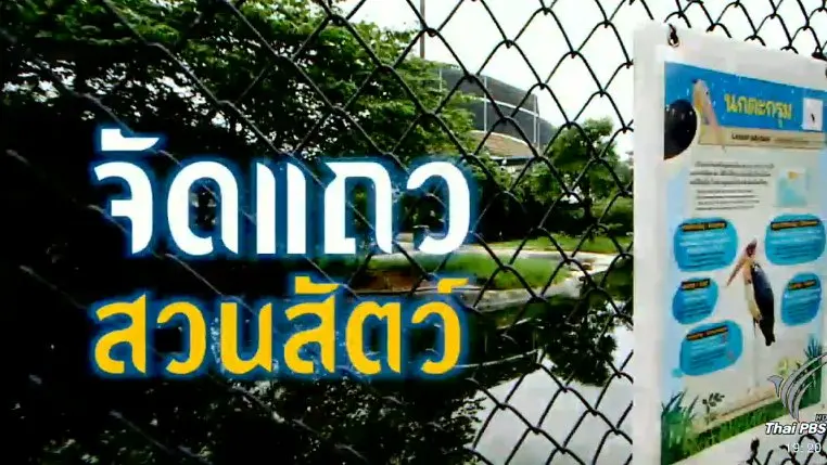 จัดแถวสวนสัตว์