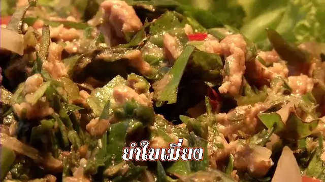 ​หมู่บ้านแม่กำปอง จ.เชียงใหม่