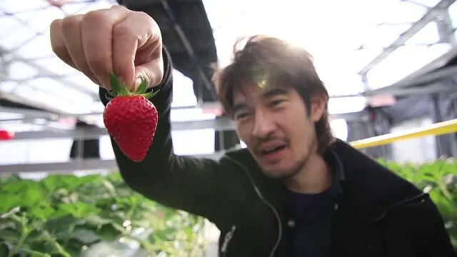 เกษตรกรนักขาย ทำไร่สตรอว์เบอรีพันเยน