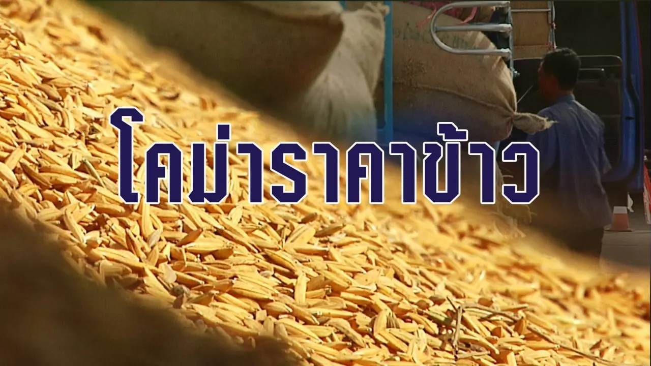 โคม่าราคาข้าว
