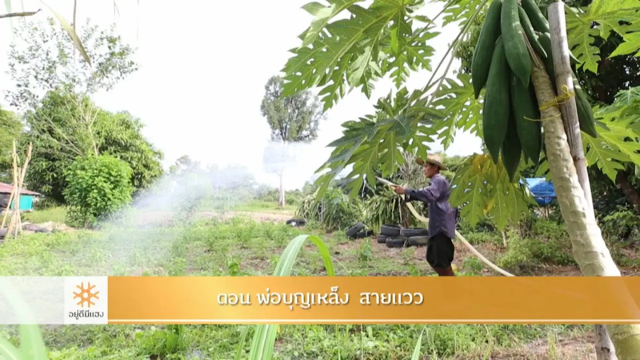 พ่อบุญเหล็ง สายแวว
