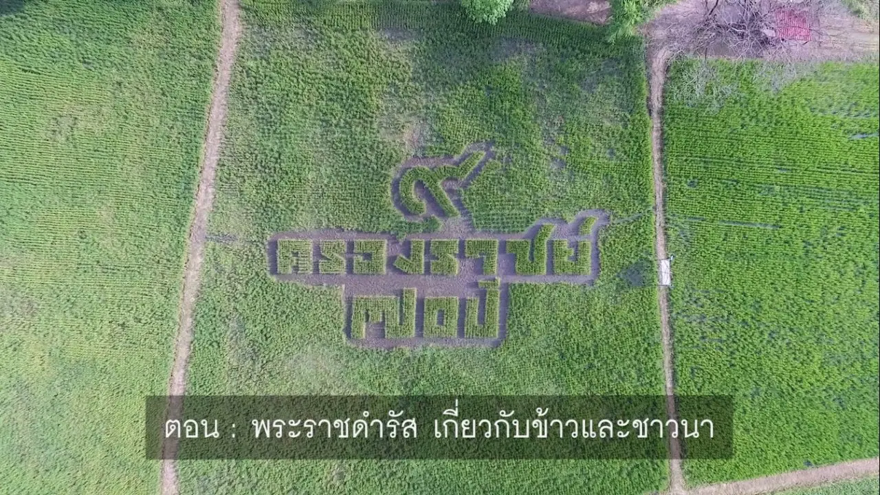 ​พระราชดำรัสเกี่ยวกับข้าวและชาวนา