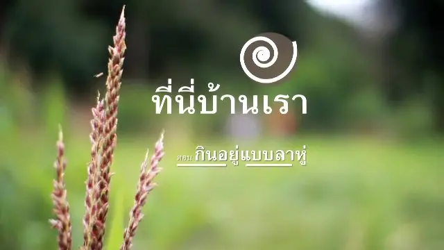 กินอยู่แบบลาหู่
