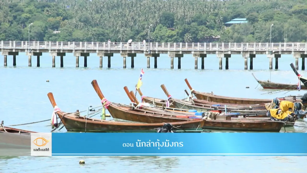นักล่ากุ้งมังกร​