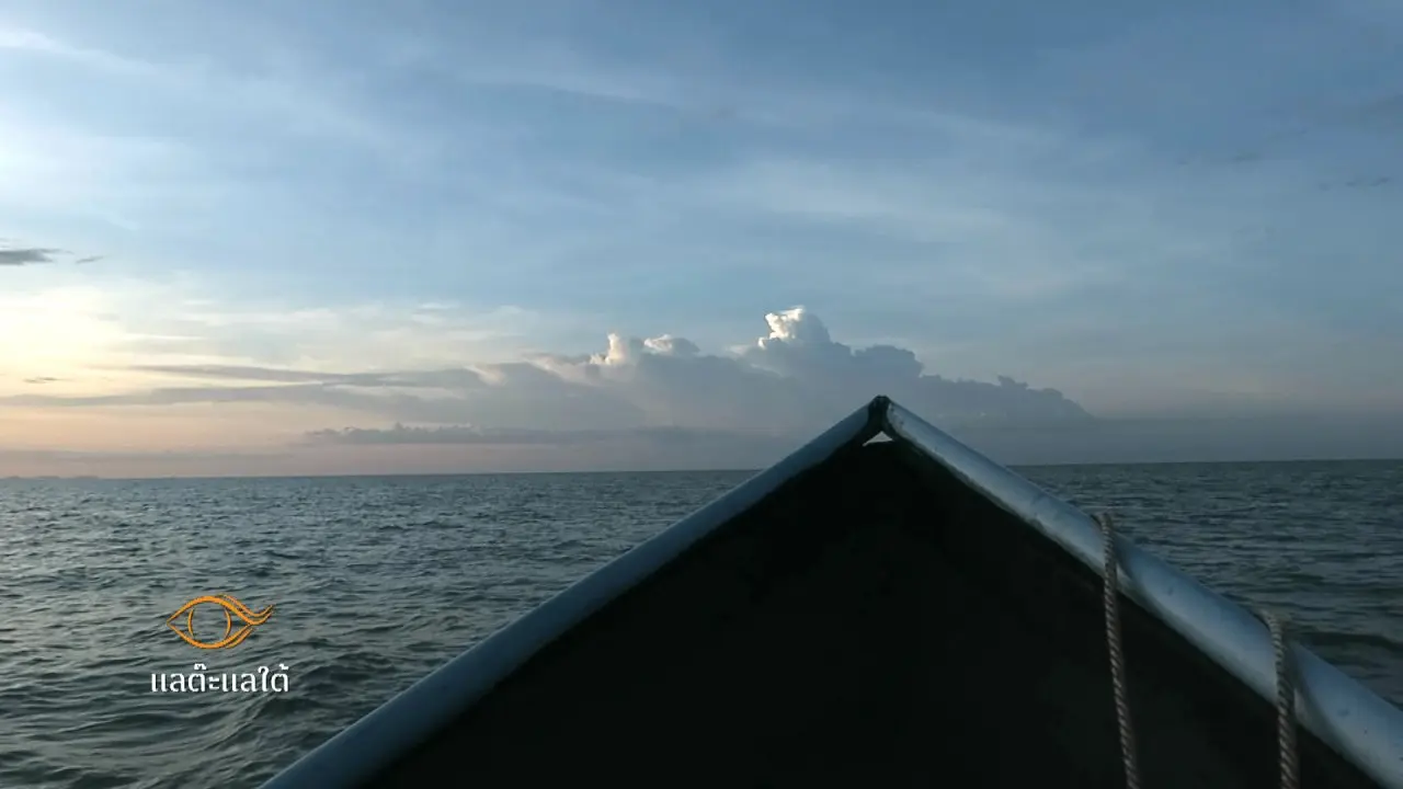 บทเรียนชายหาด นาทับสู่สวนกง,  เต่างอย ของดีต้องมีภาคต่อ, ปลานิลถิ่นเหนือ