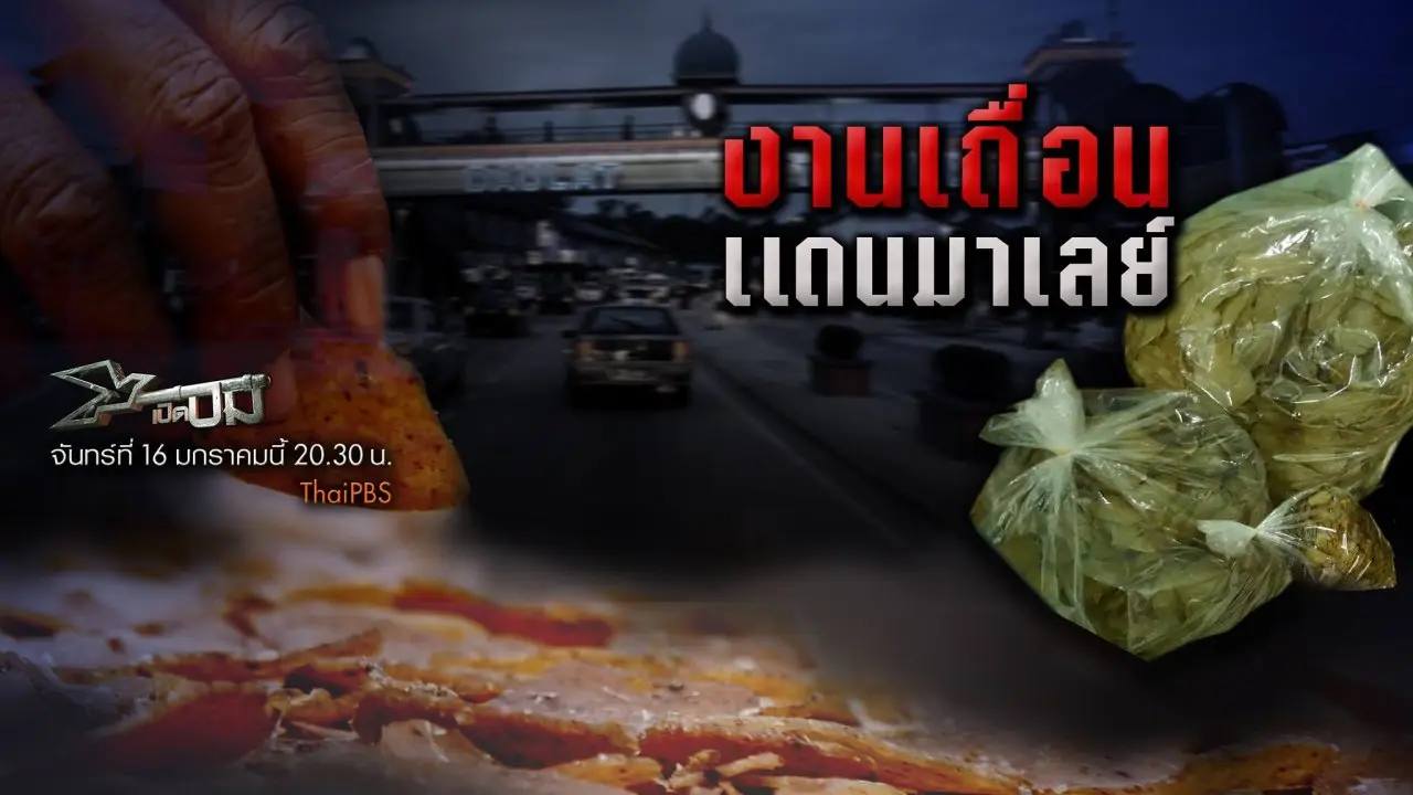 งานเถื่อนแดนมาเลย์​