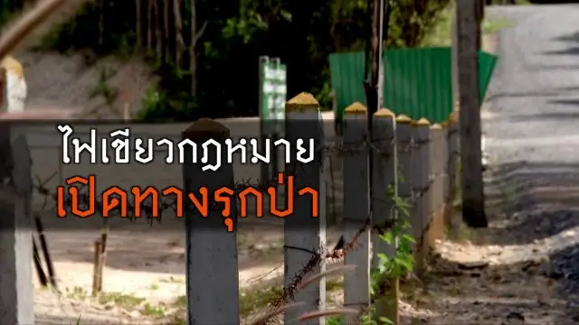ไฟเขียวกฎหมายเปิดทางรุกป่า