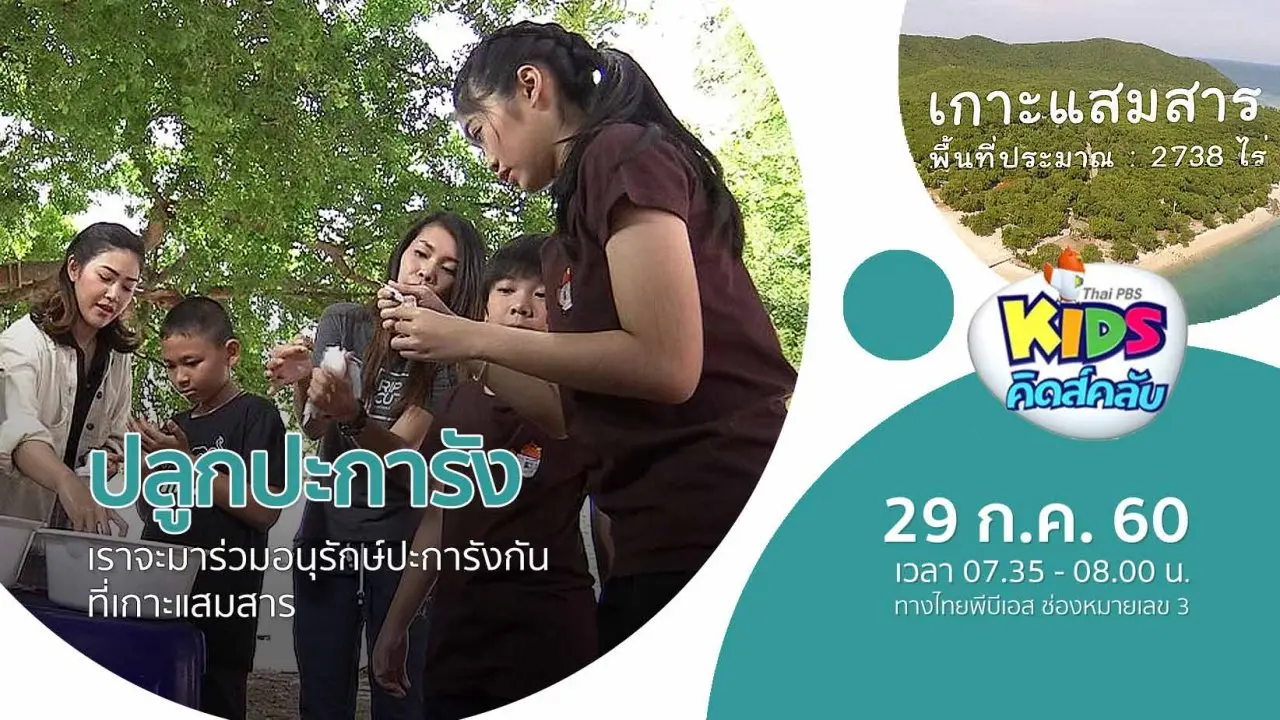 ปลูกปะการัง