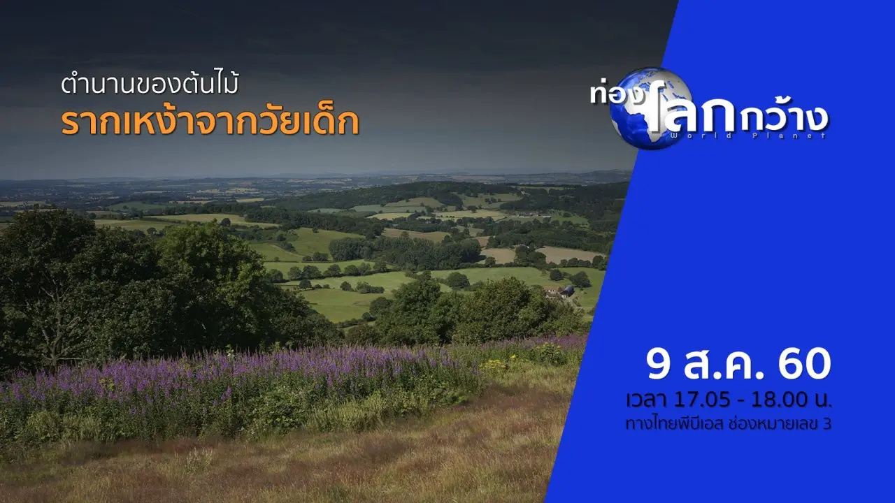 ตำนานของต้นไม้ ตอน รากเหง้าจากวัยเด็ก