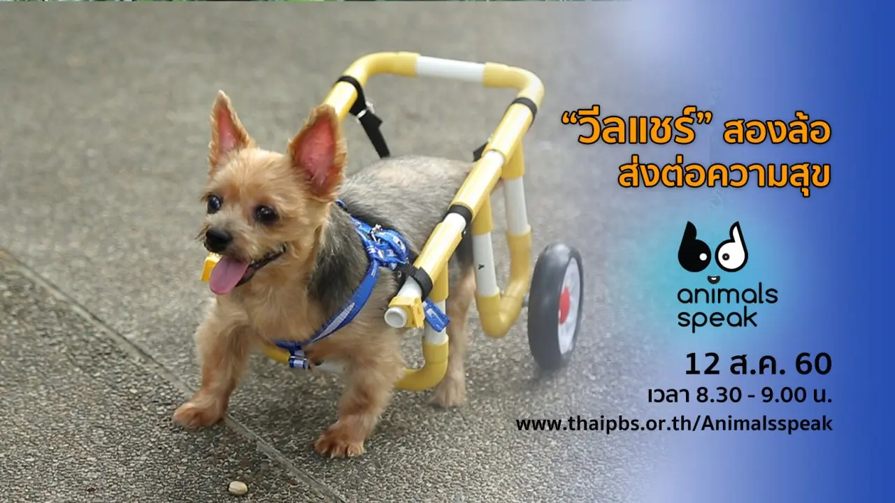 “วีลแชร์” สองล้อส่งต่อความสุข