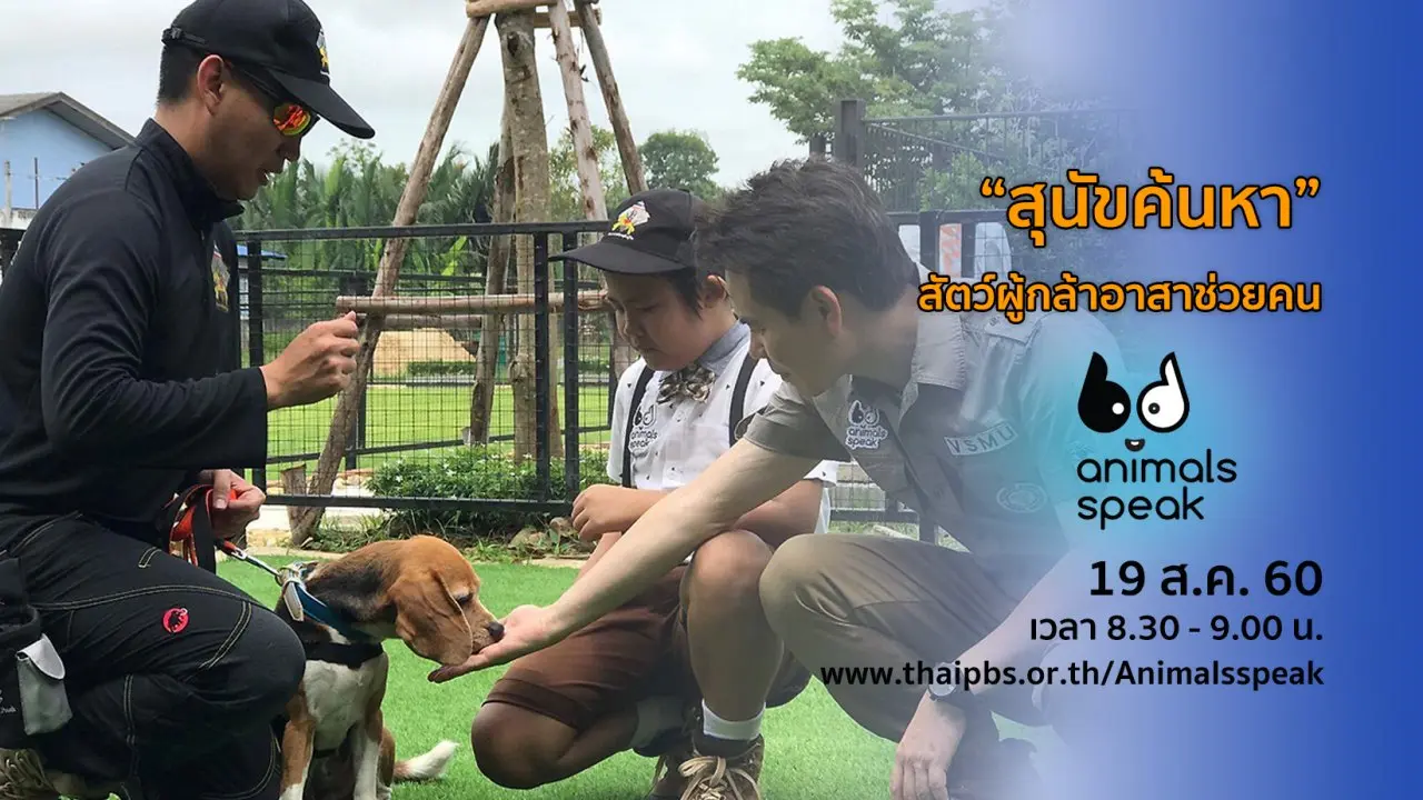 “สุนัขค้นหา” สัตว์ผู้กล้าอาสาช่วยคน