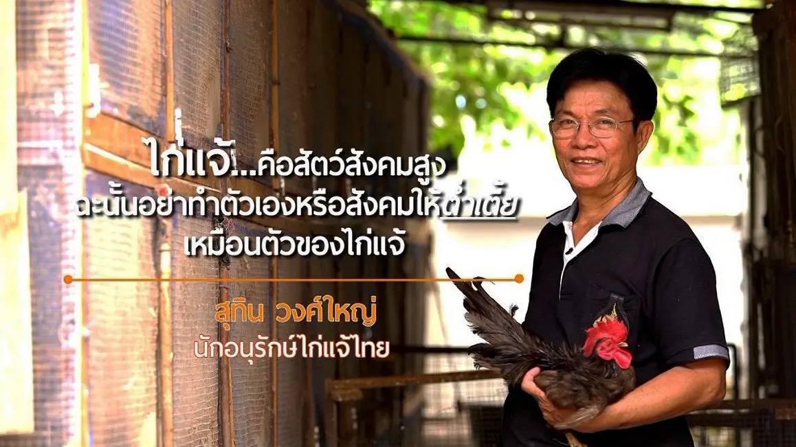 ลุยไม่รู้โรย