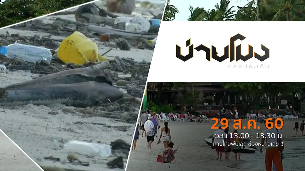 ประเด็นข่าว (29 ส.ค. 60)