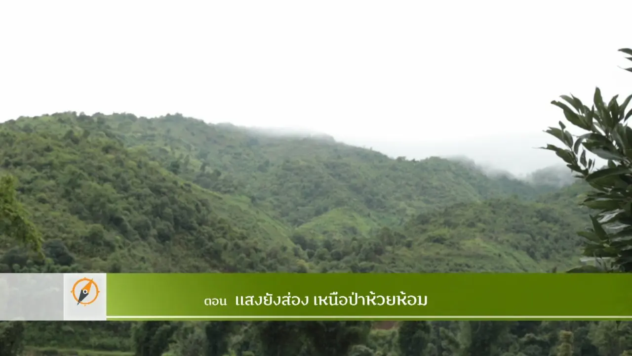 แสงยังส่องเหนือป่าห้วยห้อม​​