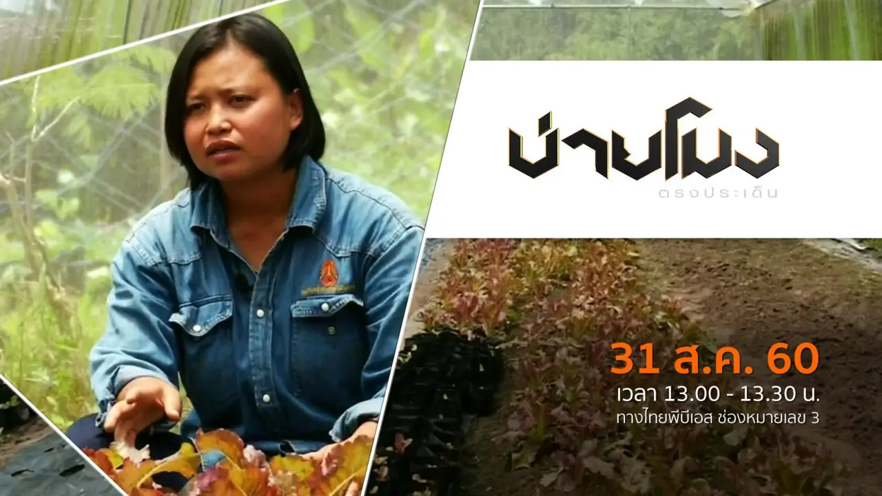 ประเด็นข่าว (31 ส.ค. 60)