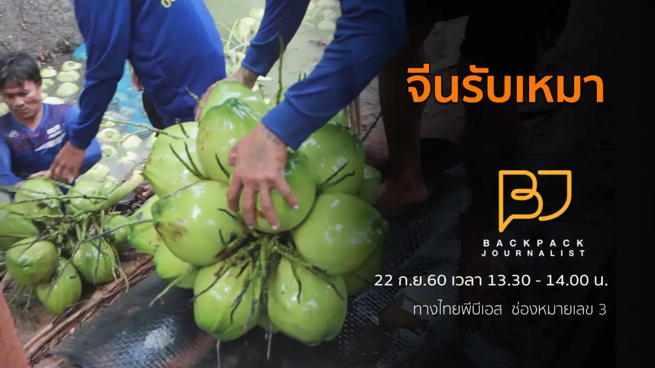 จีนรับเหมา