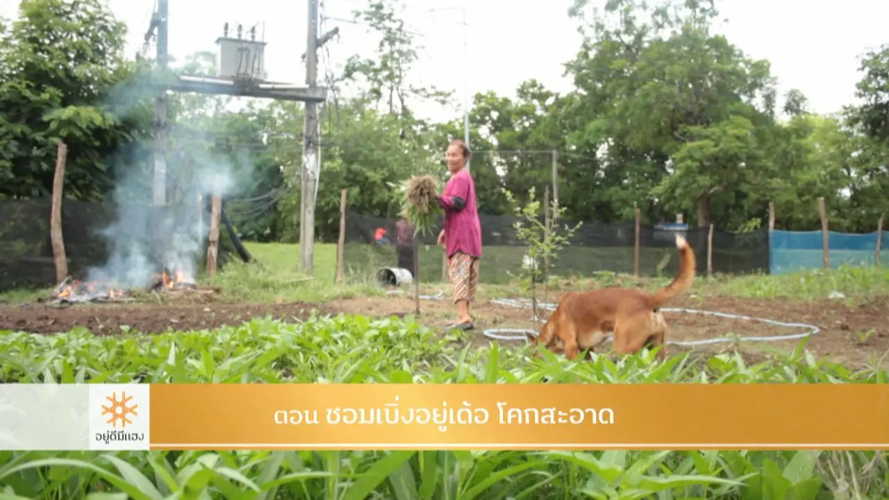 ซอมเบิ่งอยู่เด้อ โคกสะอาด​