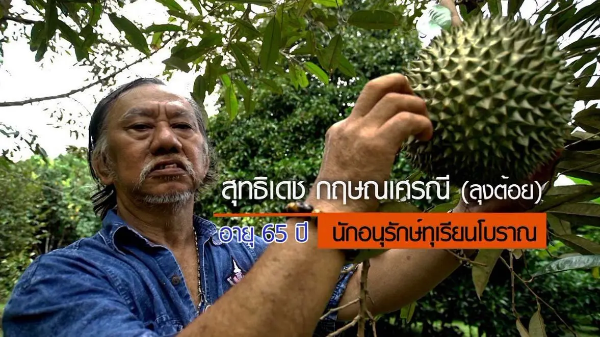 ลุงต๋อยทุเรียนโบราณคนไม่โบราณ / ฮอร์โมนนมสด