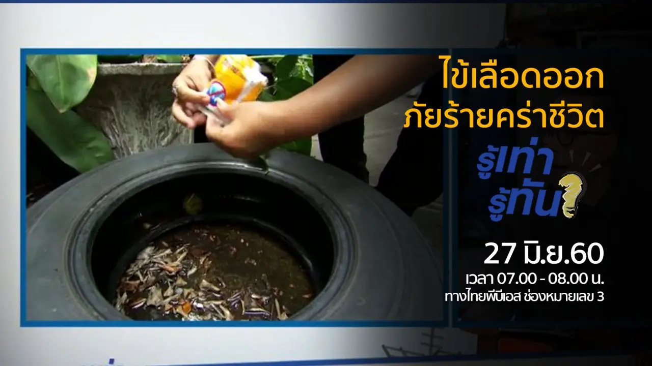 ไข้เลือดออก...ภัยร้ายคร่าชีวิต